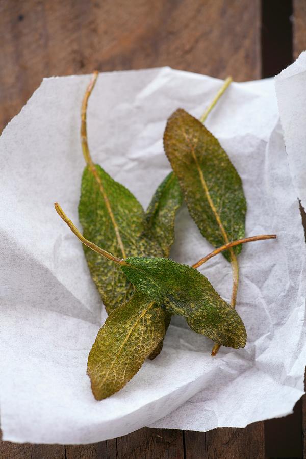 Deep-fried Sage Leaves #1 Photograph by Studio Lipov
