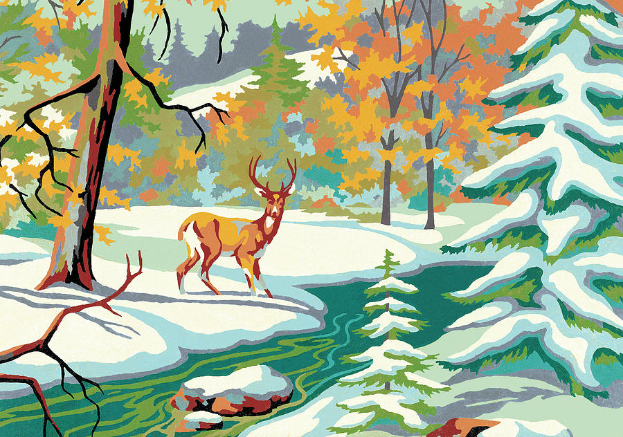 Deer Drawing - Deer in the snow #1 by CSA Images
