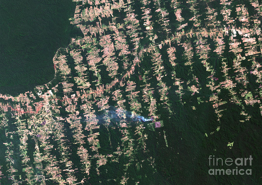 Deforestation In Para #1 Photograph by Planetobserver/science Photo Library