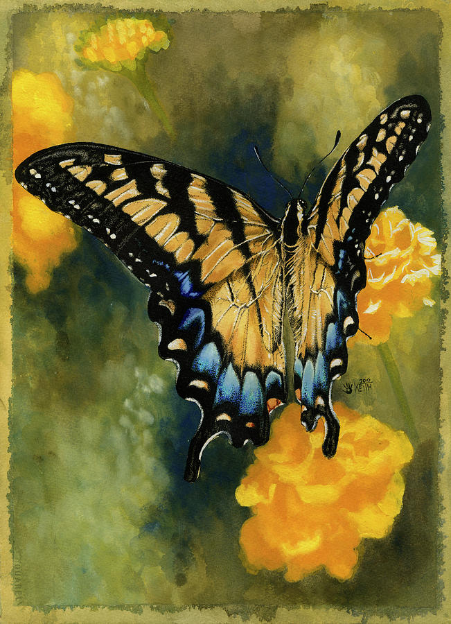 Insects Painting - Delicate Belle #1 by Barbara Keith