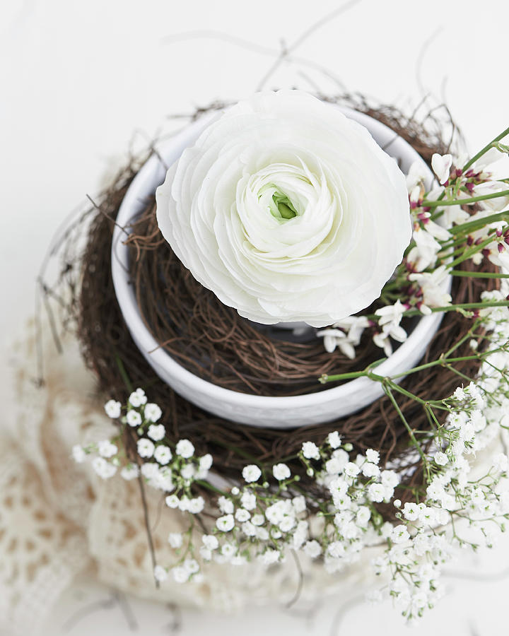 Delicate Easter Arrangement With Ranunculus And Gypsophila #1 Photograph by Hannah Kompanik
