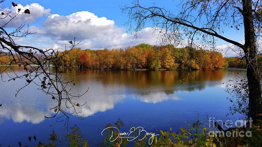 Delta Lake Park #1 Photograph by Diane E Berry