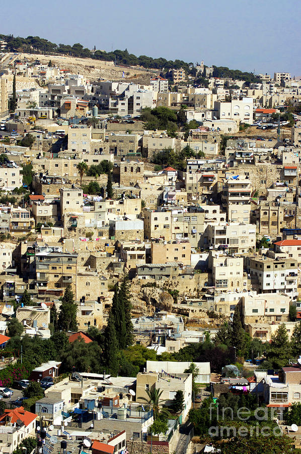 Dense Housing In East Jerusalem #1 Photograph by Mark Williamson/science Photo Library