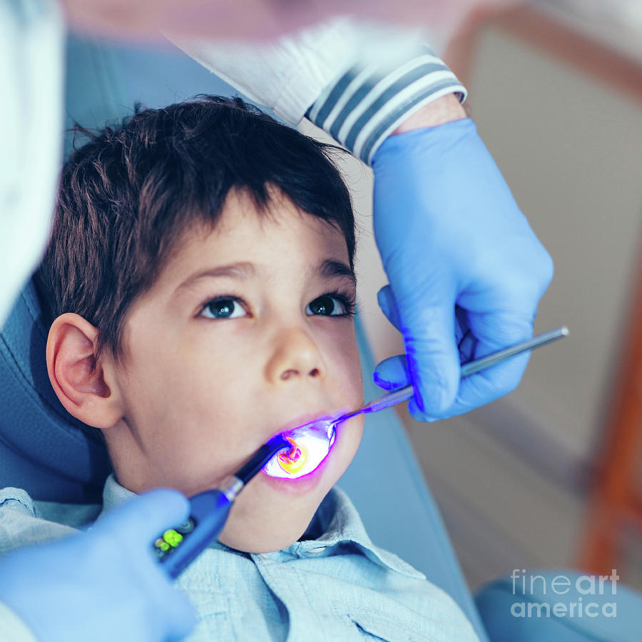 Dental Treatment #1 Photograph by Microgen Images/science Photo Library