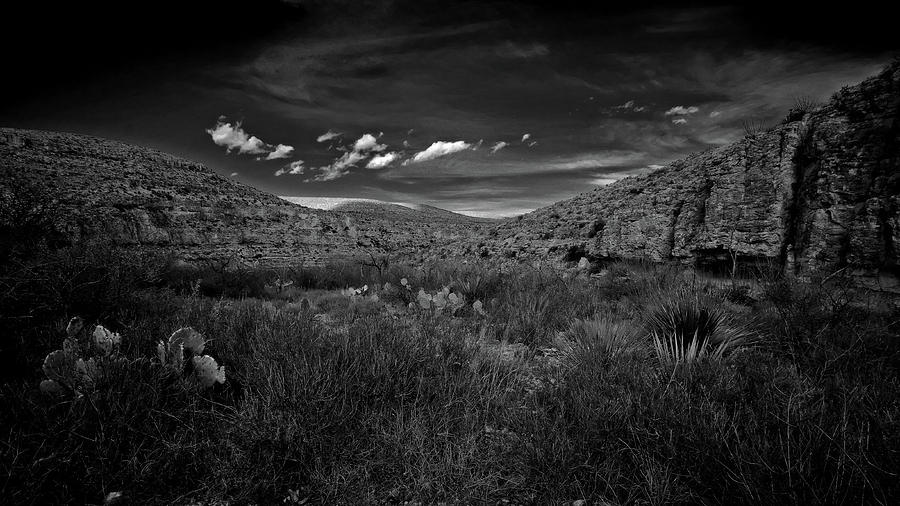 Desert and Sky Photograph by George Taylor