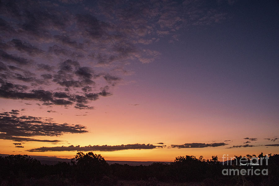 Desert Dawn #1 Photograph by Steven Natanson