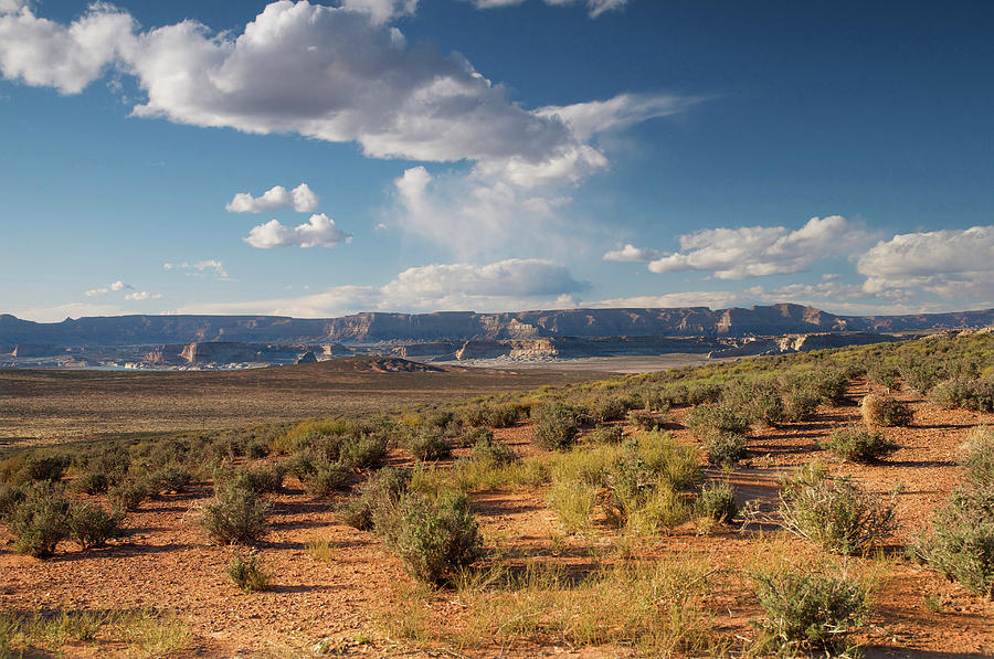 Desert Landscape #1 Photograph by Mitch Diamond