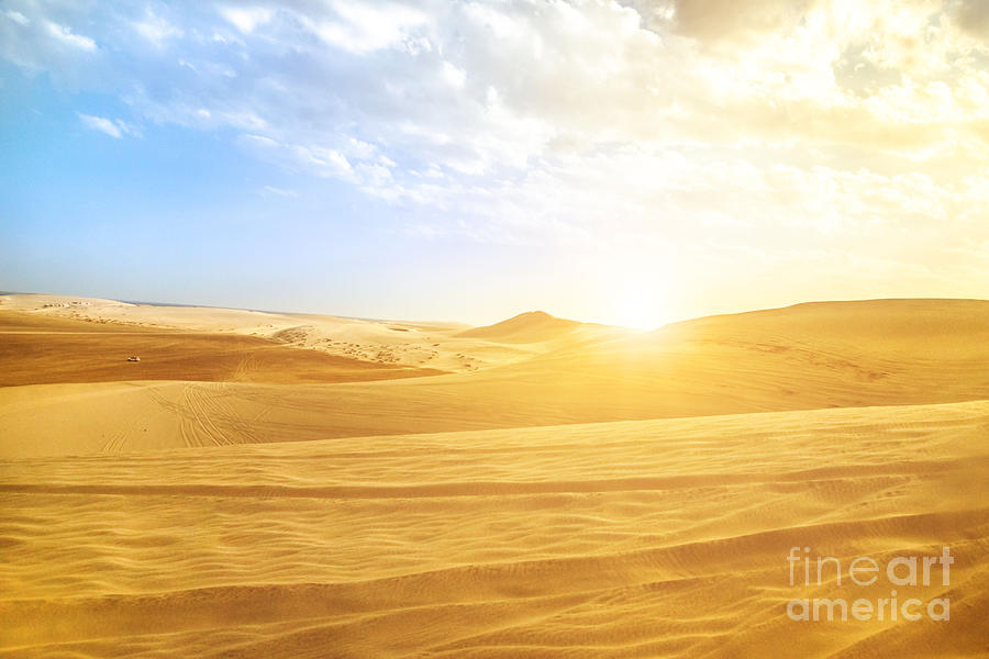 Desert landscape Qatar #1 Photograph by Benny Marty
