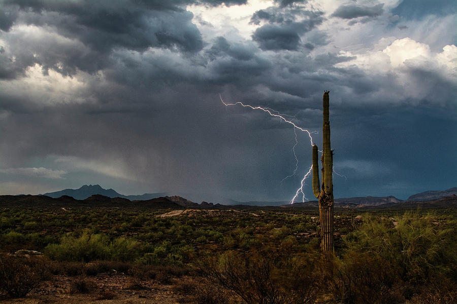 Desert Lightning And Rain  Photograph by Saija Lehtonen