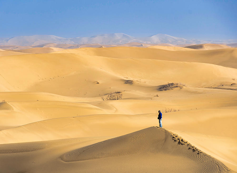 Desert #1 Photograph by Mahshad Razavi