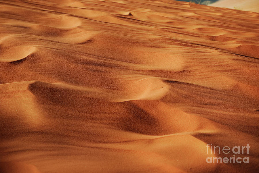 Desert Sand Photograph