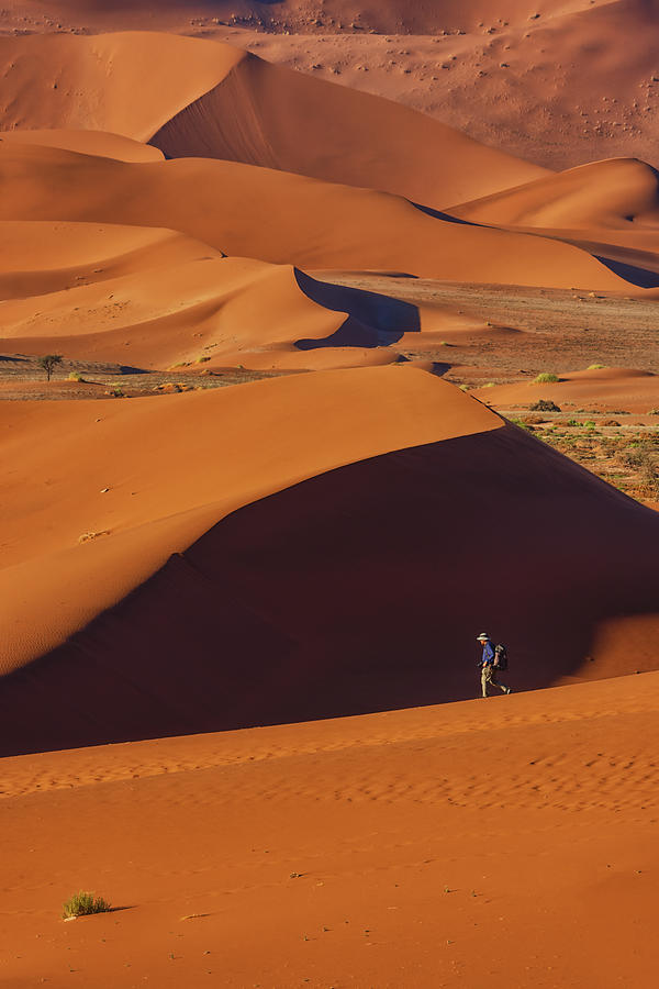 Landscape Photograph - Desert Traveler #1 by Michael Zheng