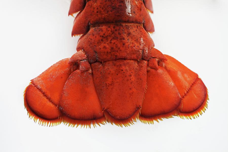 Detail Of A Lobster On A White Surface #1 Photograph by Herbert Lehmann