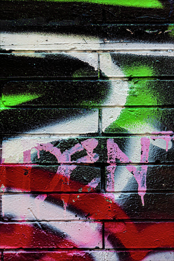 Detail of Grafitti on Brick Wall #1 Photograph by Robert Ullmann
