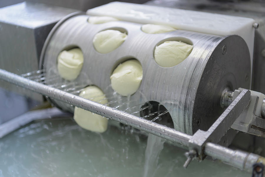 Detail Of Mozzarellaforming Machine Operated In Cheese Factory Digital