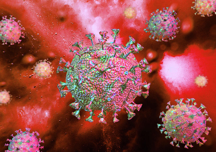Detailed Structure Of The Coronavirus #1 Photograph by Leonello Calvetti
