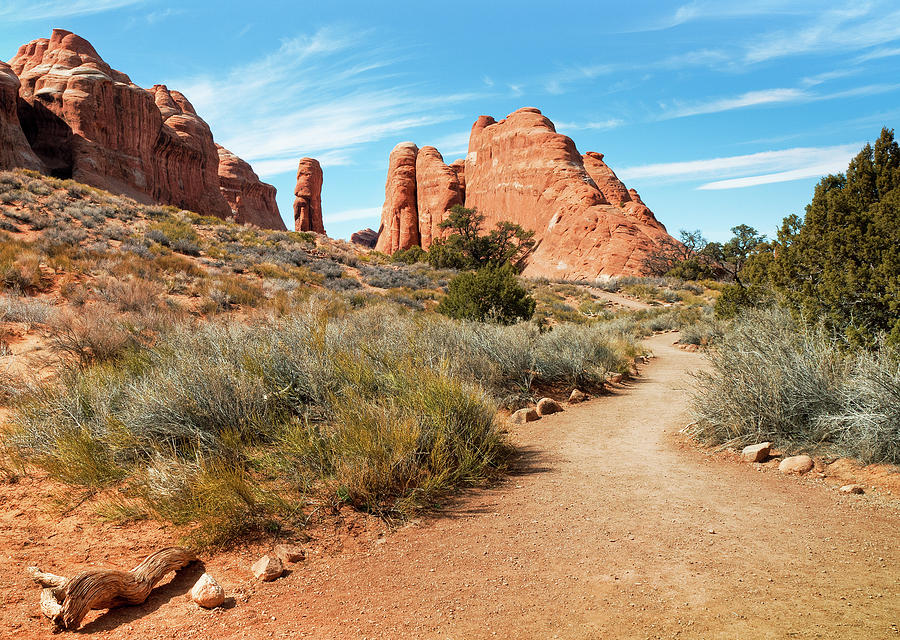 Devils Garden, Arches National Park #1 Photograph by Fotomonkee
