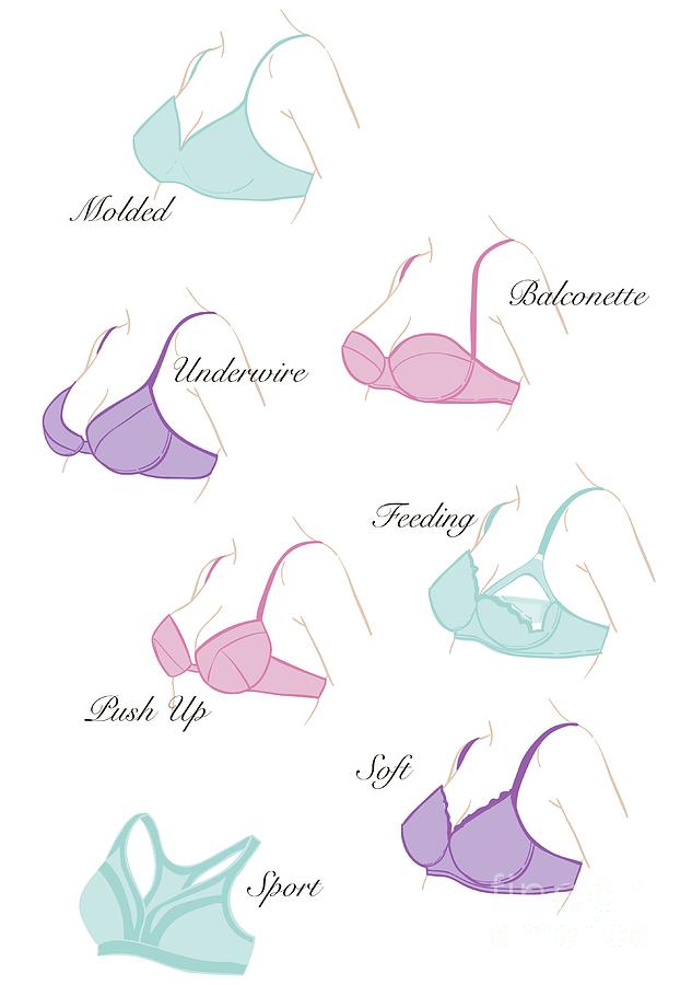 Different Types Of Bras #1 Photograph by Jeanette Engqvist/science Photo  Library - Fine Art America
