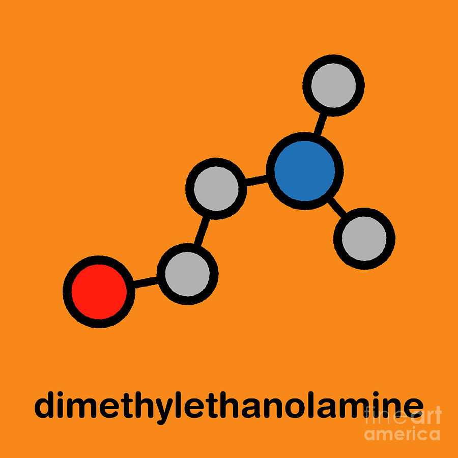 Dimethylaminoethanol Molecule #1 Photograph by Molekuul/science Photo Library