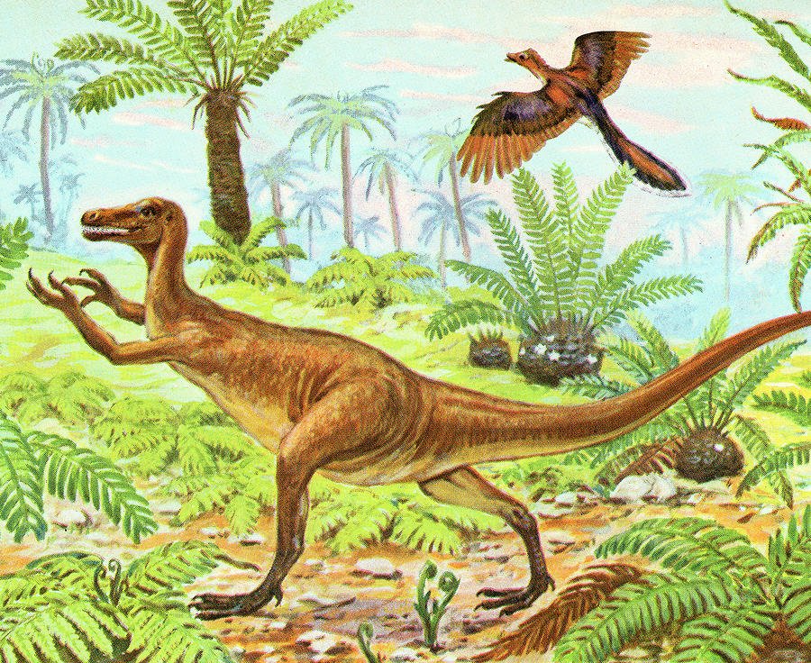 Prehistoric Drawing - Dinosaur in the Jungle #1 by CSA Images