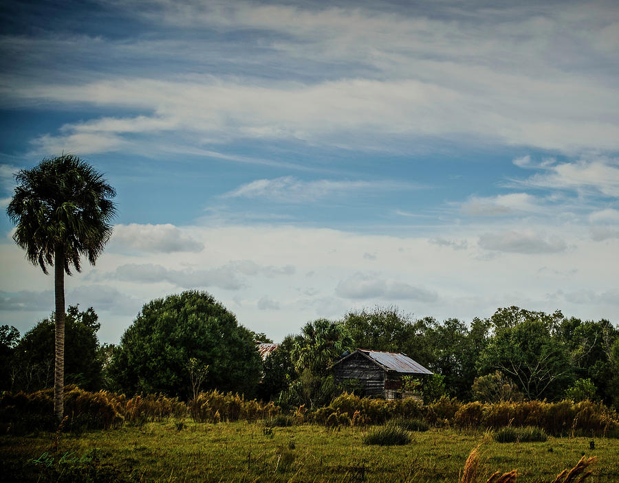 Disney Wilderness Preserve 2 by Liz Keeler Disney Wilderness Preserve 2 by Liz Keeler