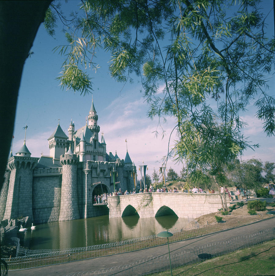 Bridge Photograph - Disneyland Park #1 by Loomis Dean