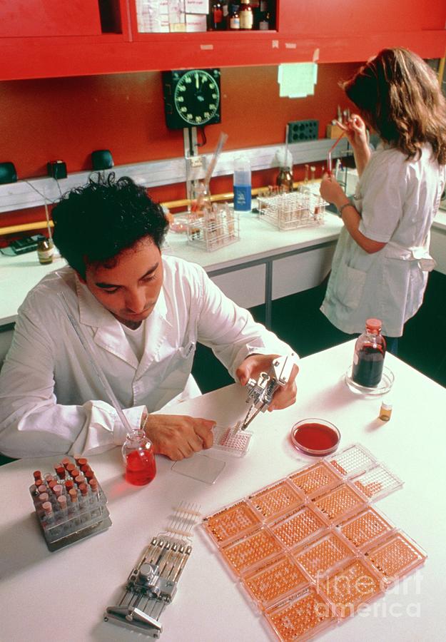 Dna Fingerprinting In Argentina #1 Photograph by Carlos Goldin/science Photo Library