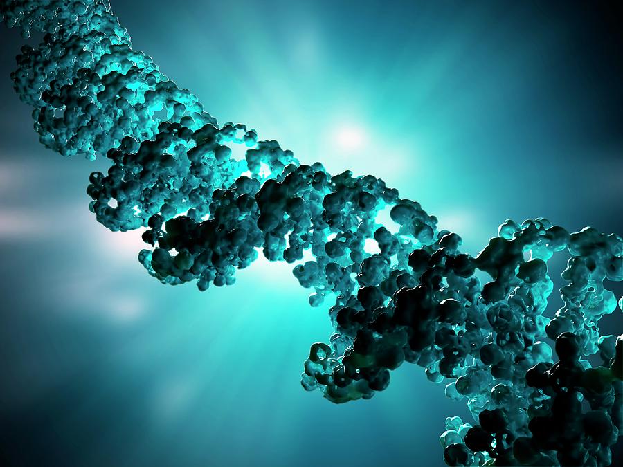 Dna Molecule, Artwork #1 Digital Art by Science Photo Library - Andrzej Wojcicki