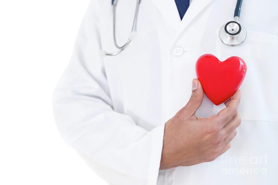 Doctor Holding Heart Shape Photograph by Science Photo Library - Pixels