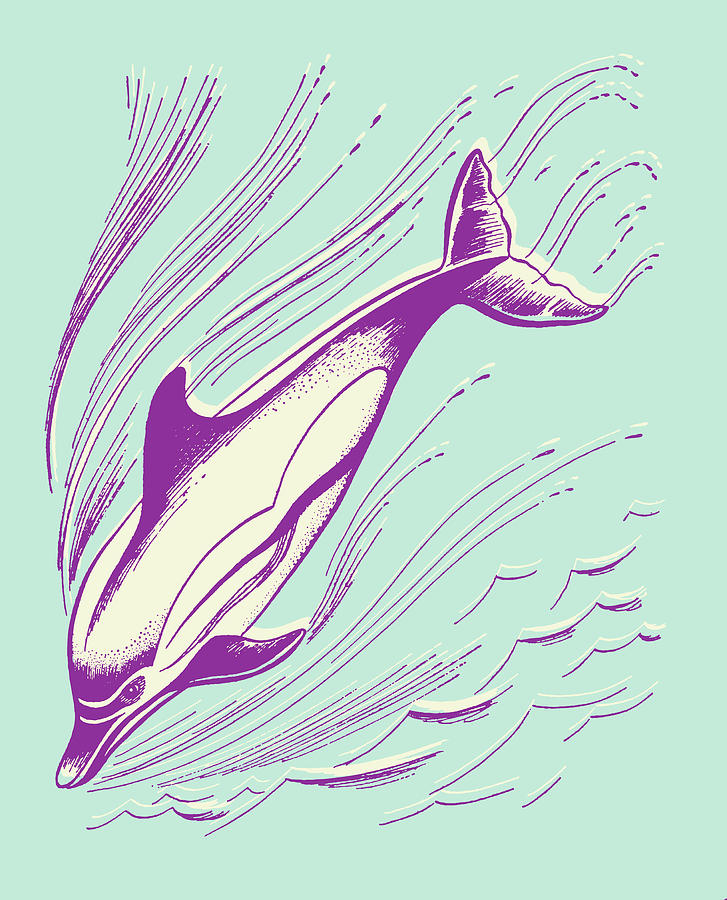 Fish Drawing - Dolphin #1 by CSA Images