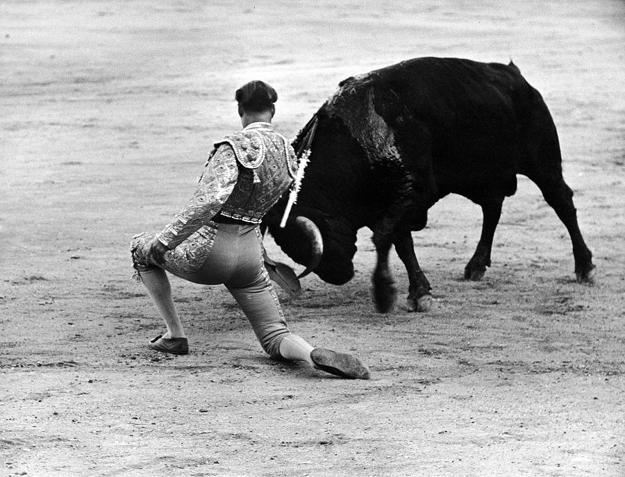 Dominguin In Action Photograph by Tony Linck Dominguin In Action Photograph by Tony Linck