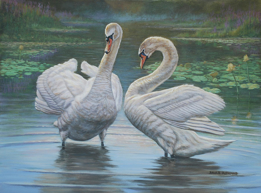 Swan Painting - Dont Be Shy #1 by Bruce Dumas