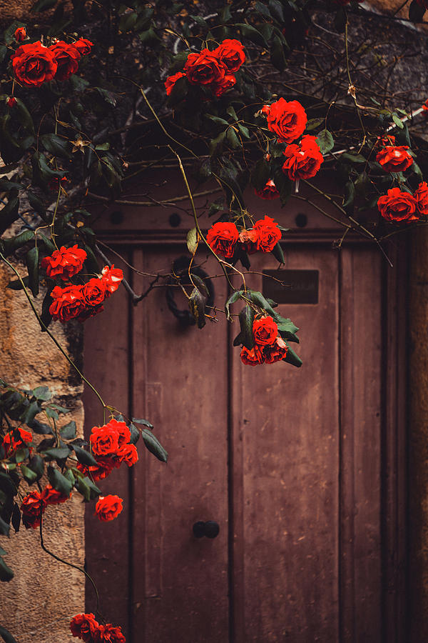 Doorway, Valbonne. France #1 Photograph by Maggie Mccall