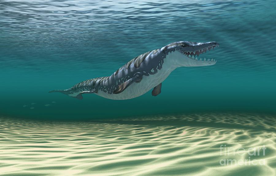 Dorudon Prehistoric Whale Ancestor #1 Photograph by Mikkel Juul Jensen / Science Photo Library