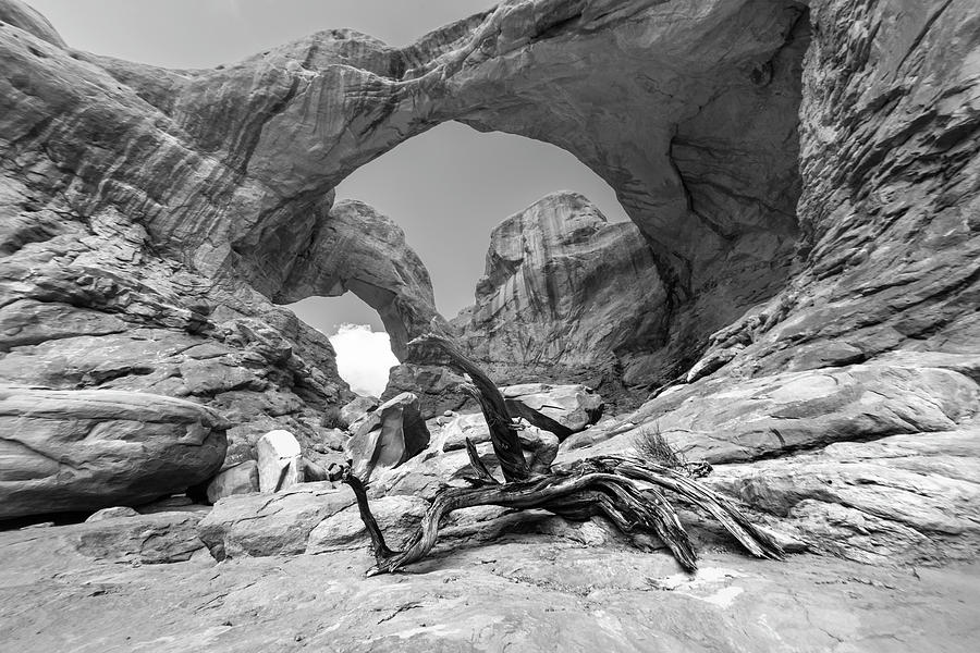 Double Arch 1542 Photograph by Bob Neiman - Fine Art America