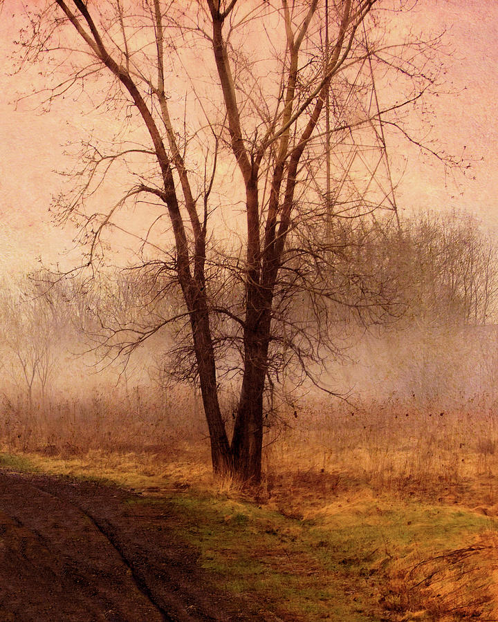 Austin Painting - Double Trunked Tree in the Mist by Troy Caperton