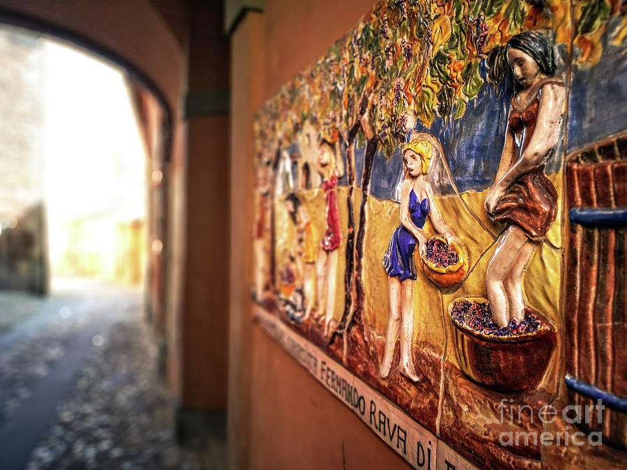 Dozza the painted city - Bologna - Emilia Romagna - Italy #1 Photograph by Luca Lorenzelli
