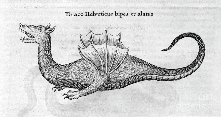Dragon, 1678. Artist Athanasius Kircher #1 Drawing by Print Collector