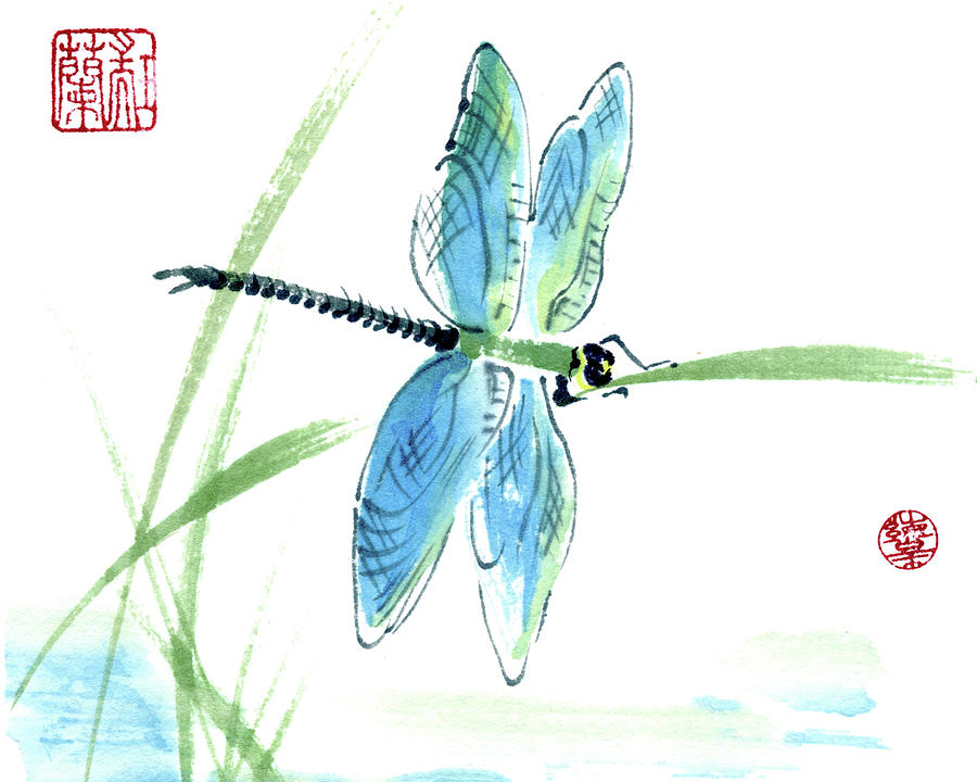 Animal Painting - Dragonfly #1 by Nan Rae