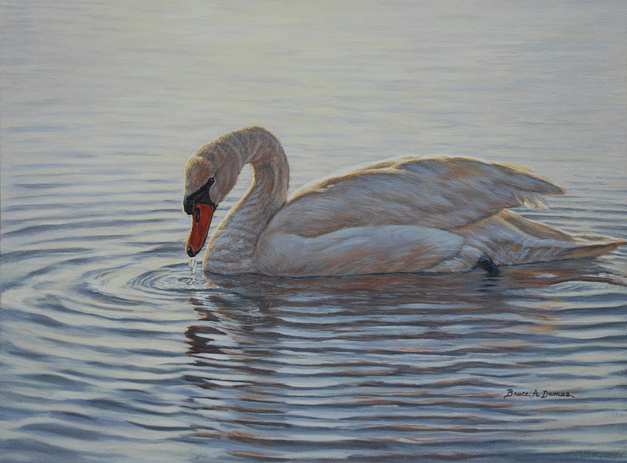 Bird Painting - Dribbling Swan #1 by Bruce Dumas