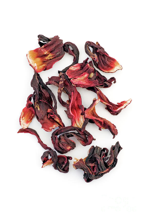 Dried Hibiscus Petals #1 Photograph by Geoff Kidd/science Photo Library
