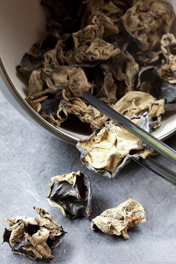 Dried Jelly Ear Fungus #1 Photograph by Hilde Mche