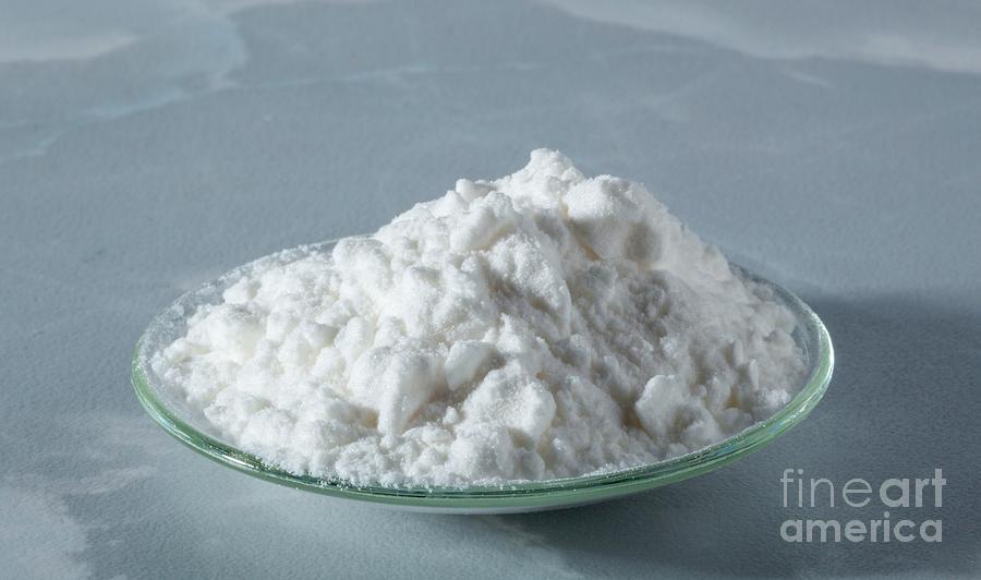 Dried Starch Powder #1 Photograph by Science Photo Library Dried Starch Powder #1 Photograph by Science Photo Library