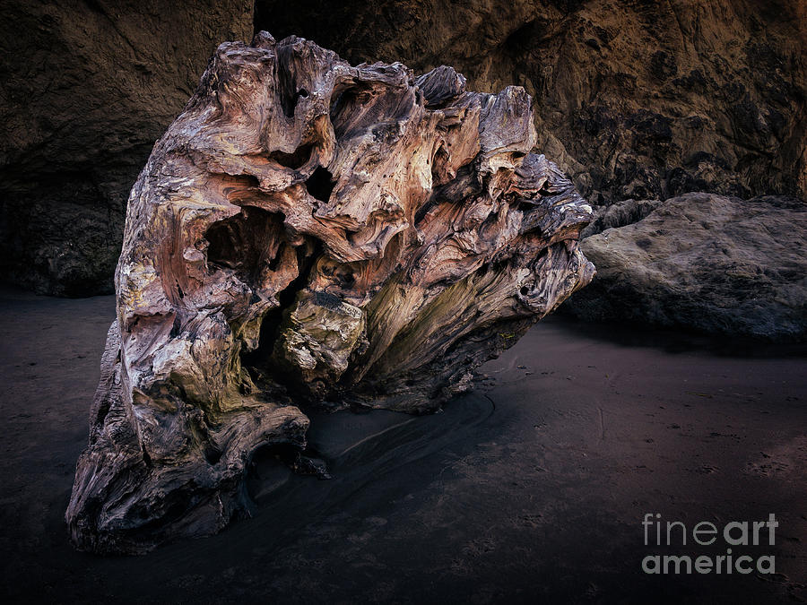 DRIFTWOOD by Doug Sturgess DRIFTWOOD by Doug Sturgess