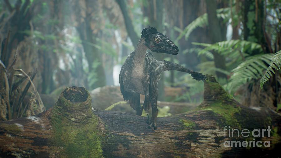 Dromaeosaurus Dinosaur #1 Photograph by Richard Jones/science Photo Library