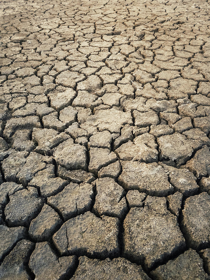 Drought Photograph by PsychoShadow ART - Fine Art America