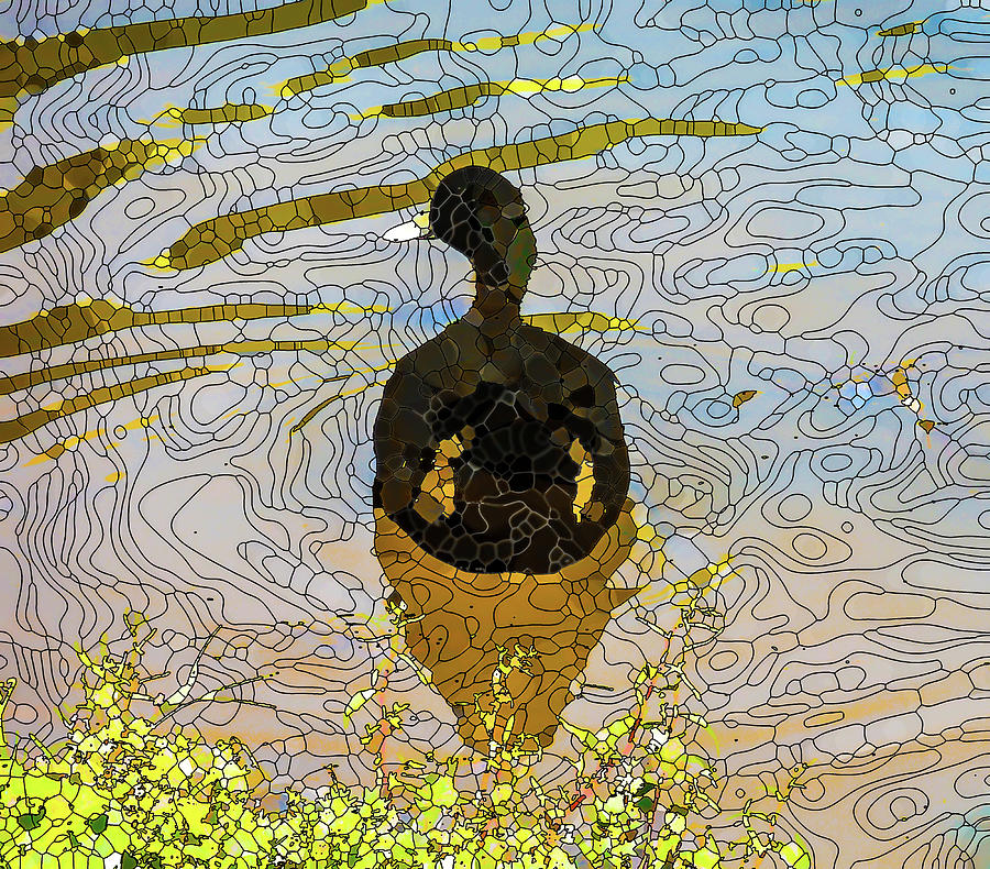 Ducks swim in a pond 11 #1 Painting by Jeelan Clark