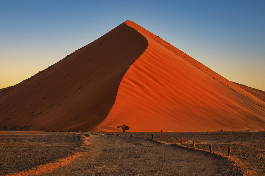 Dune 45 #1 Photograph by Michael Zheng