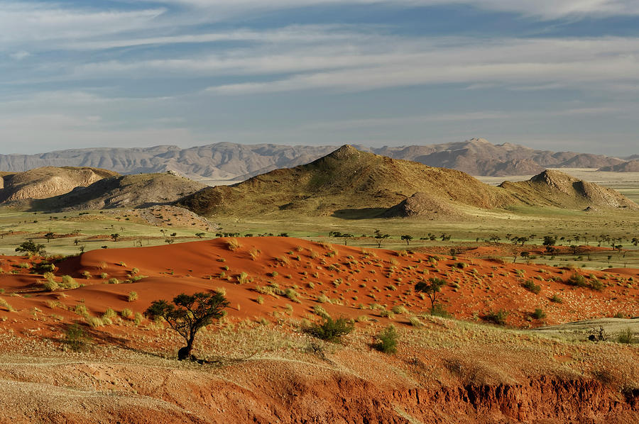 Dune Landscape, Namib Desert, Namibia #1 Digital Art by Gunter Hartmann