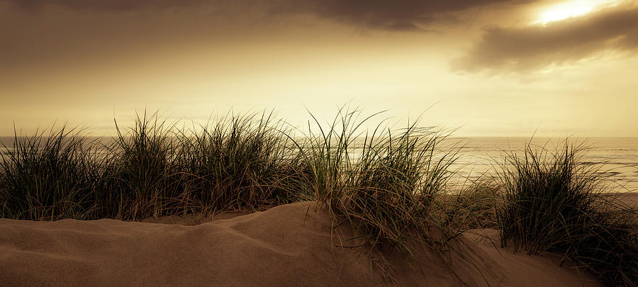 Dunes #1 Photograph by Don Schwartz